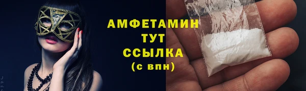 ГАЛЛЮЦИНОГЕННЫЕ ГРИБЫ Бородино